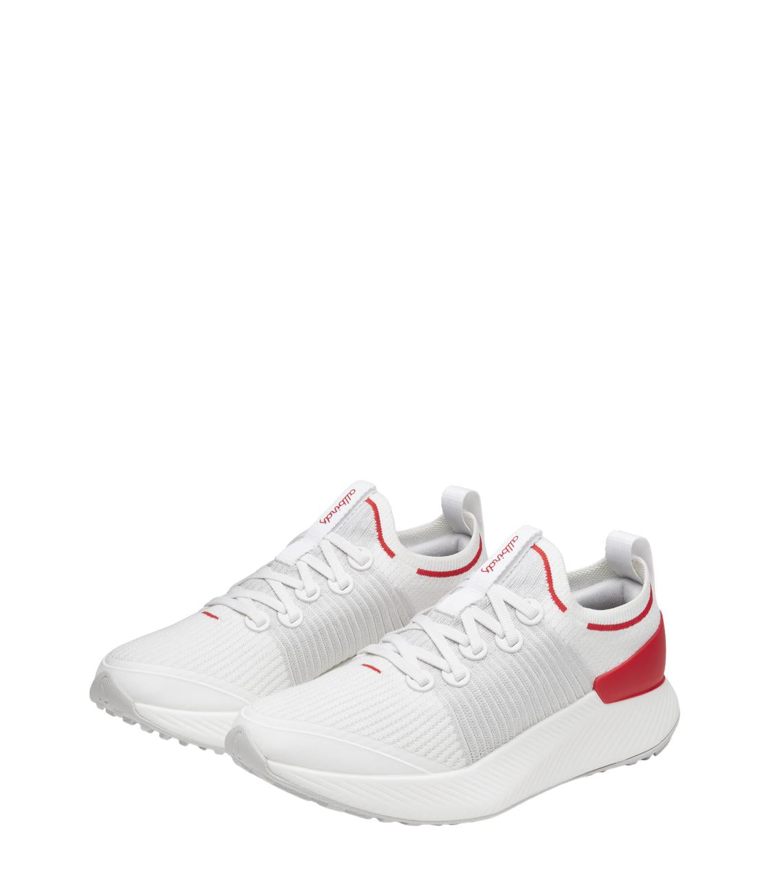 Men's Tree Glider Shoes Allbirds