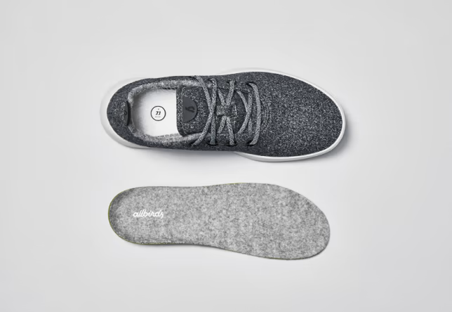Shoe Care Allbirds SG